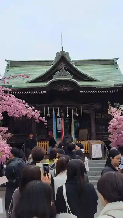 桜神宮(東京都)