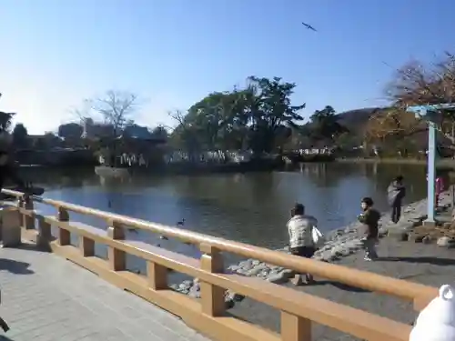 鶴岡八幡宮の庭園