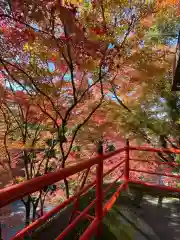 今熊野観音寺(京都府)