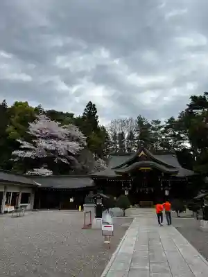 進雄神社の{uncategorized: "未分類", other: "その他", undefined: "問題あり", building: "その他建物", grave: "お墓", sacred_gate: "鳥居", guardian: "狛犬", statue: "像", buddha: "仏像", history: "歴史", nature: "自然", garden: "庭園", animal: "動物", pagoda: "塔", temizu: "手水舎", mountain_gate: "山門・神門", sanctuary: "本殿・本堂", subordinate: "末社・摂社", art: "芸術", scenery: "景色", jizo: "地蔵", ema: "絵馬", goshuin: "御朱印", omikuji: "おみくじ", items: "授与品その他", amulet: "お守り", goshuincho: "御朱印帳", eats: "食事", festival: "お祭り", votive_dance: "神楽", shichigosan: "七五三参", wedding: "結婚式", experience: "体験その他", initially: "初詣", around: "周辺", anti_infection: "感染症対策"}