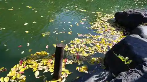 嚴島神社 (京都御苑)の庭園