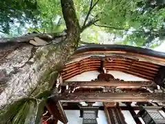 冨士山稲荷神社(長野県)