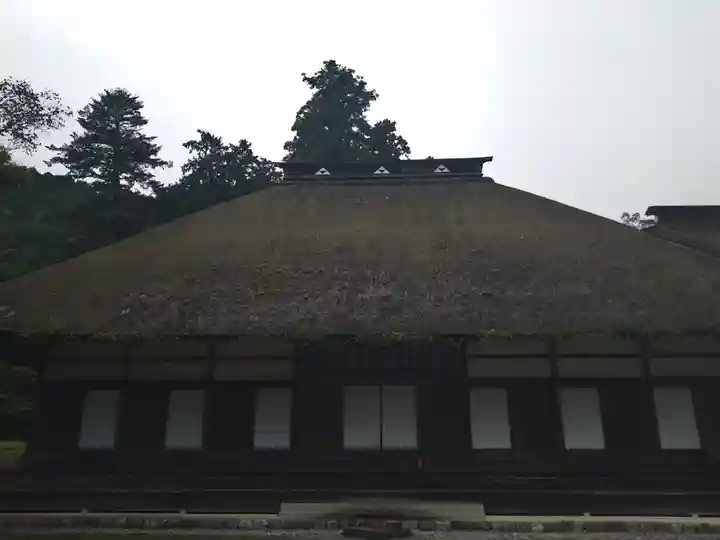 廣徳寺(東京都)
