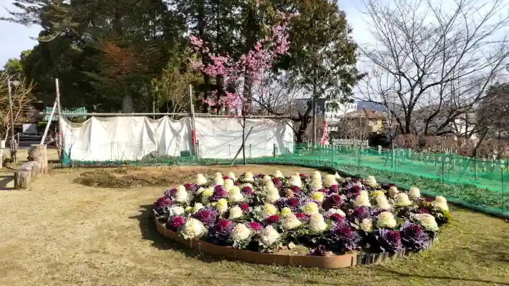 龍田大社の{uncategorized: "未分類", other: "その他", undefined: "問題あり", building: "その他建物", grave: "お墓", sacred_gate: "鳥居", guardian: "狛犬", statue: "像", buddha: "仏像", history: "歴史", nature: "自然", garden: "庭園", animal: "動物", pagoda: "塔", temizu: "手水舎", mountain_gate: "山門・神門", sanctuary: "本殿・本堂", subordinate: "末社・摂社", art: "芸術", scenery: "景色", jizo: "地蔵", ema: "絵馬", goshuin: "御朱印", omikuji: "おみくじ", items: "授与品その他", amulet: "お守り", goshuincho: "御朱印帳", eats: "食事", festival: "お祭り", votive_dance: "神楽", shichigosan: "七五三参", wedding: "結婚式", experience: "体験その他", initially: "初詣", around: "周辺", anti_infection: "感染症対策"}