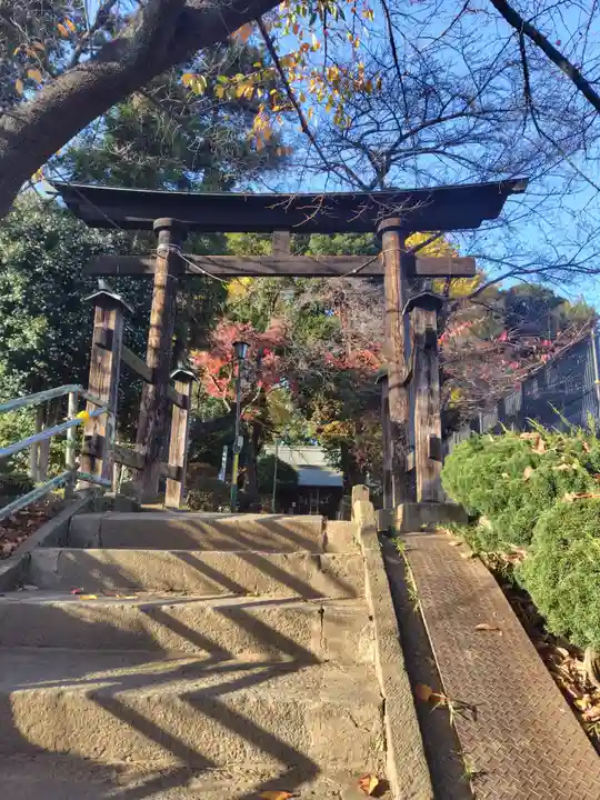 鶴ヶ丸八幡神社(埼玉県)
