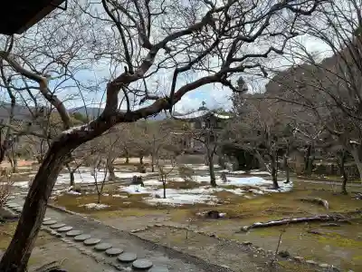 勧修寺の{uncategorized: "未分類", other: "その他", undefined: "問題あり", building: "その他建物", grave: "お墓", sacred_gate: "鳥居", guardian: "狛犬", statue: "像", buddha: "仏像", history: "歴史", nature: "自然", garden: "庭園", animal: "動物", pagoda: "塔", temizu: "手水舎", mountain_gate: "山門・神門", sanctuary: "本殿・本堂", subordinate: "末社・摂社", art: "芸術", scenery: "景色", jizo: "地蔵", ema: "絵馬", goshuin: "御朱印", omikuji: "おみくじ", items: "授与品その他", amulet: "お守り", goshuincho: "御朱印帳", eats: "食事", festival: "お祭り", votive_dance: "神楽", shichigosan: "七五三参", wedding: "結婚式", experience: "体験その他", initially: "初詣", around: "周辺", anti_infection: "感染症対策"}