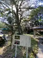 山口神社(長崎県)