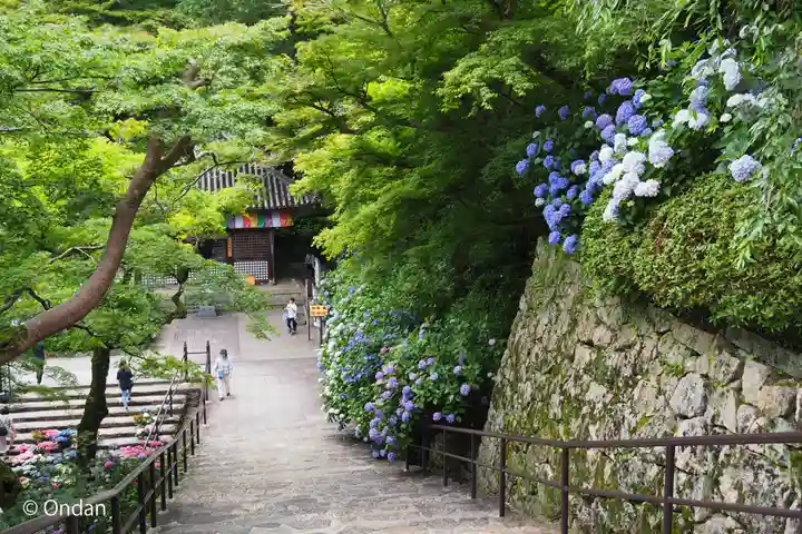 長谷寺(奈良県)