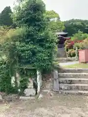 八幡神社の自然