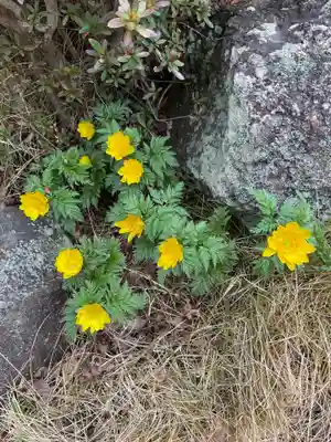 関善光寺(岐阜県)