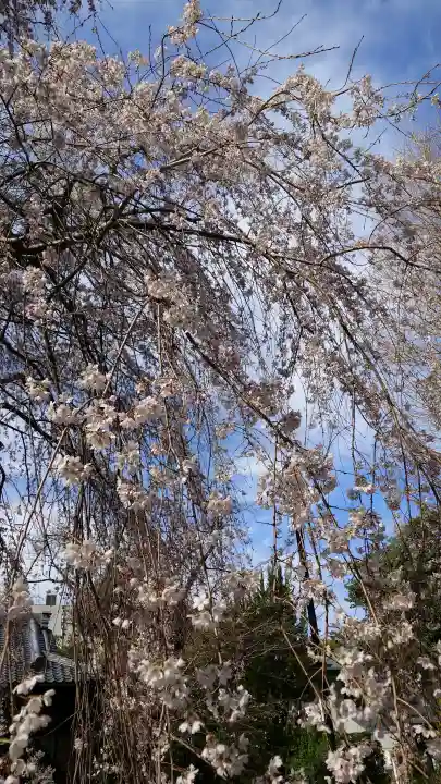 愛知縣護國神社の{uncategorized: "未分類", other: "その他", undefined: "問題あり", building: "その他建物", grave: "お墓", sacred_gate: "鳥居", guardian: "狛犬", statue: "像", buddha: "仏像", history: "歴史", nature: "自然", garden: "庭園", animal: "動物", pagoda: "塔", temizu: "手水舎", mountain_gate: "山門・神門", sanctuary: "本殿・本堂", subordinate: "末社・摂社", art: "芸術", scenery: "景色", jizo: "地蔵", ema: "絵馬", goshuin: "御朱印", omikuji: "おみくじ", items: "授与品その他", amulet: "お守り", goshuincho: "御朱印帳", eats: "食事", festival: "お祭り", votive_dance: "神楽", shichigosan: "七五三参", wedding: "結婚式", experience: "体験その他", initially: "初詣", around: "周辺", anti_infection: "感染症対策"}