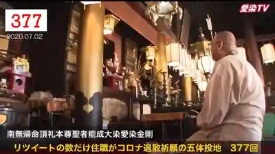 愛染堂勝鬘院の本殿・本堂