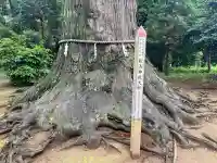松山神社(千葉県)