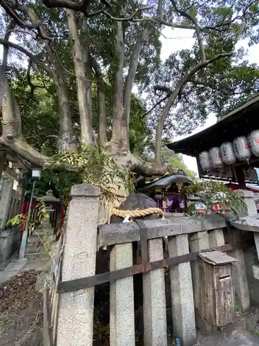 満足稲荷神社の自然