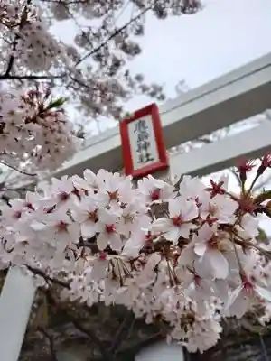 北山鹿島神社の鳥居