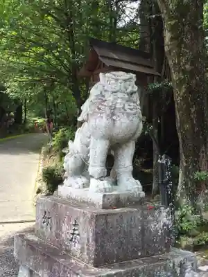 敢國神社の狛犬