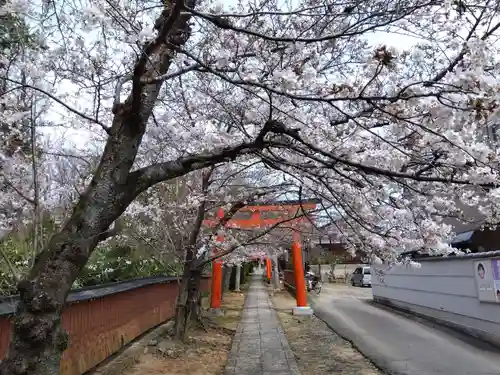 竹中稲荷神社（吉田神社末社）(京都府)