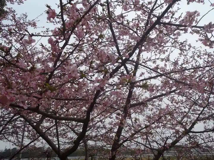 八柱神社(愛知県)