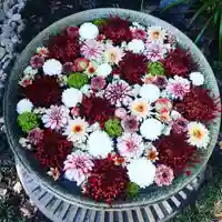 行田八幡神社の手水舎