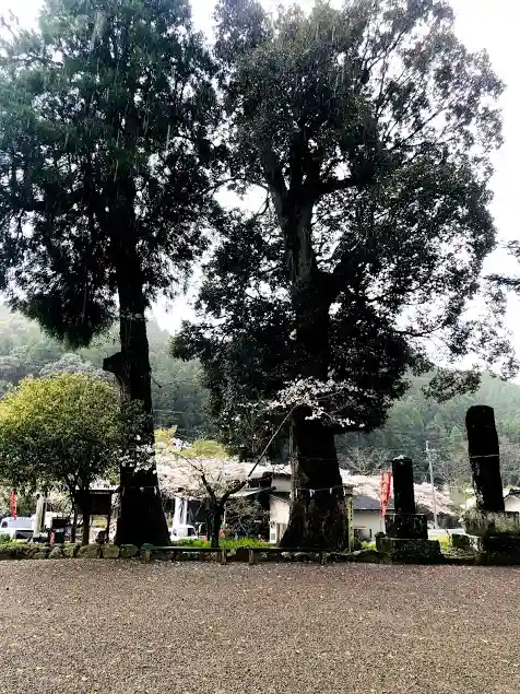巖島神社の自然