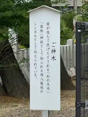西八龍社(愛知県)
