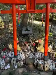 白笹稲荷神社の鳥居