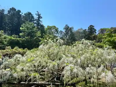 歌泉堂(春日大社神苑萬葉植物園内鎮座)(奈良県)