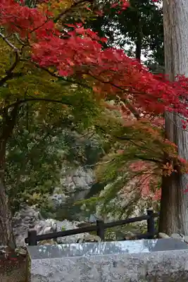大瀧神社(滋賀県)