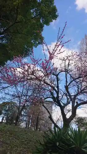 龍城神社の自然