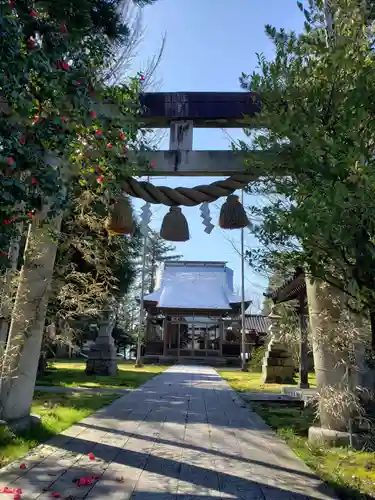 小杉神社の鳥居