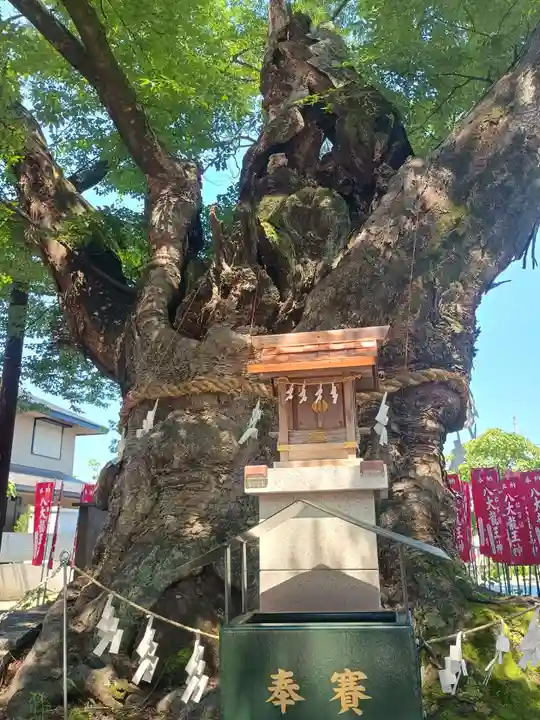 秩父今宮神社の景色