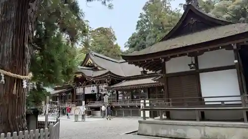 大神神社(奈良県)