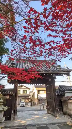隨心院（随心院）(京都府)
