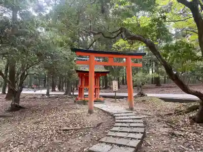 浮雲神社の{uncategorized: "未分類", other: "その他", undefined: "問題あり", building: "その他建物", grave: "お墓", sacred_gate: "鳥居", guardian: "狛犬", statue: "像", buddha: "仏像", history: "歴史", nature: "自然", garden: "庭園", animal: "動物", pagoda: "塔", temizu: "手水舎", mountain_gate: "山門・神門", sanctuary: "本殿・本堂", subordinate: "末社・摂社", art: "芸術", scenery: "景色", jizo: "地蔵", ema: "絵馬", goshuin: "御朱印", omikuji: "おみくじ", items: "授与品その他", amulet: "お守り", goshuincho: "御朱印帳", eats: "食事", festival: "お祭り", votive_dance: "神楽", shichigosan: "七五三参", wedding: "結婚式", experience: "体験その他", initially: "初詣", around: "周辺", anti_infection: "感染症対策"}