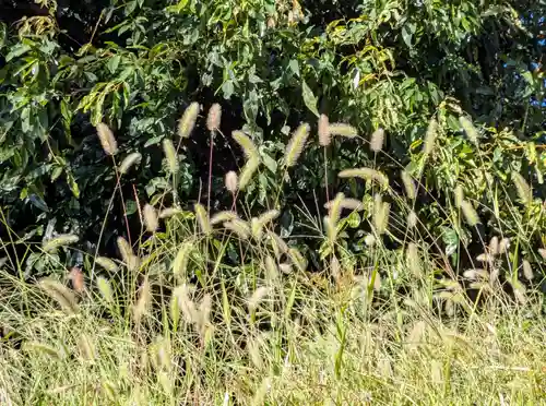 長野縣護國神社(長野県)