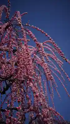 城南宮(京都府)