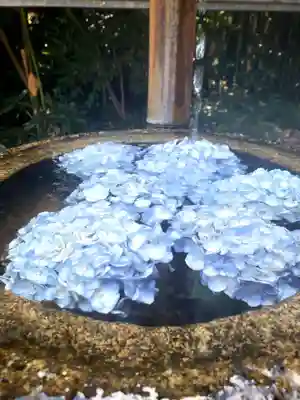 下高井戸八幡神社の手水舎