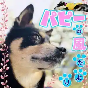 龍興山神社(青森県)(2024年05月01日(水) 14時41分10秒投稿)