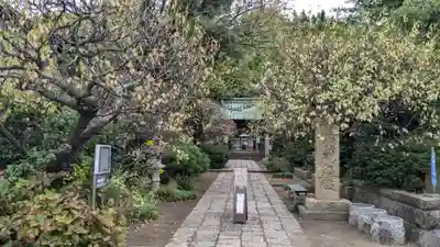 常立寺の山門・神門