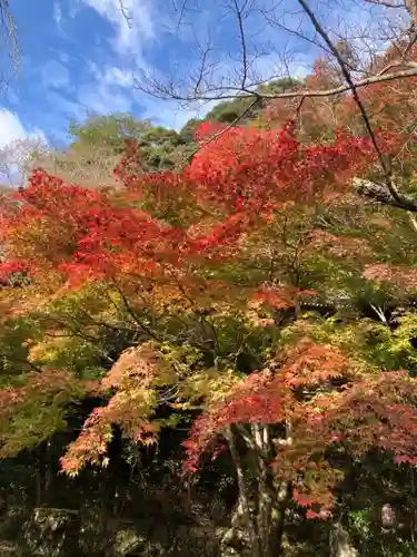 勝持寺（花の寺）(京都府)