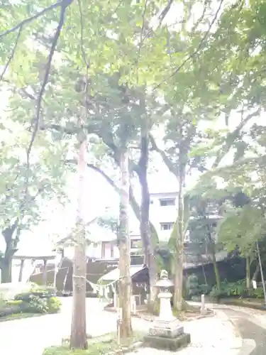 若一王子宮の自然