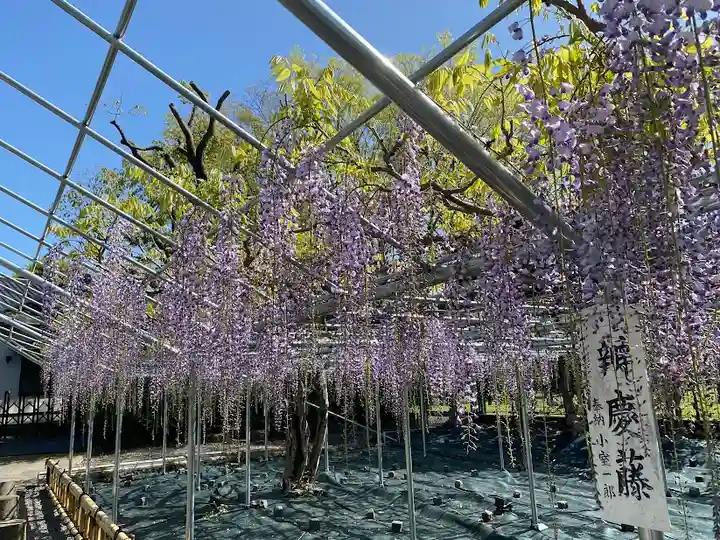 白旗神社(神奈川県)