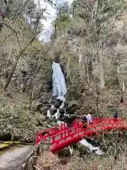 桜松神社の自然