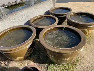 築地本願寺（本願寺築地別院）(東京都)