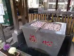 高円寺氷川神社(東京都)