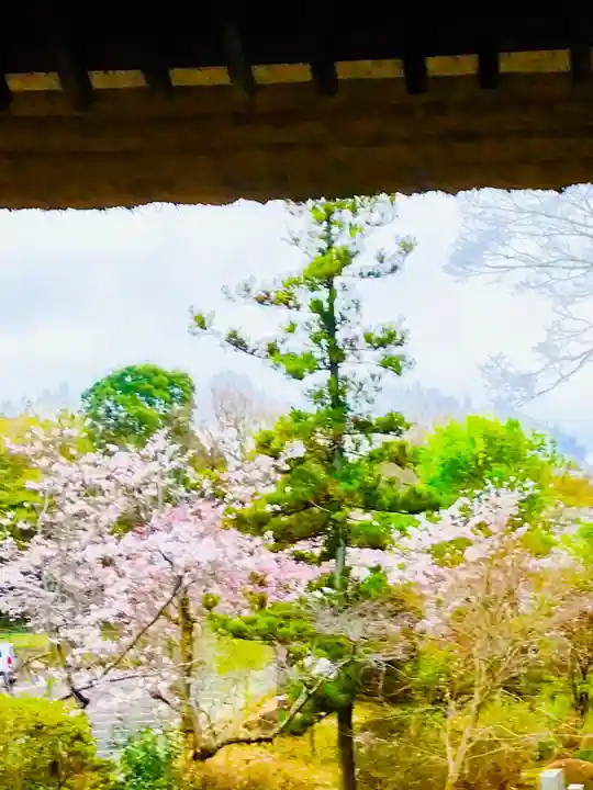 大聖寺(土浦大師不動尊)の庭園