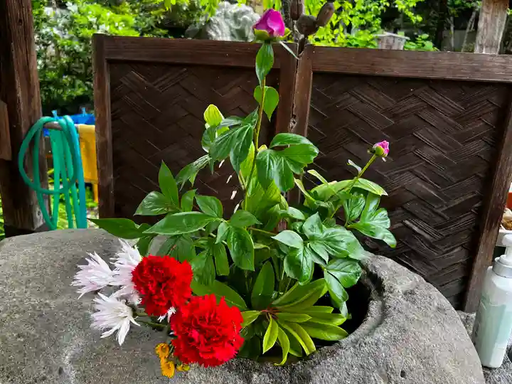 西光寺(埼玉県)