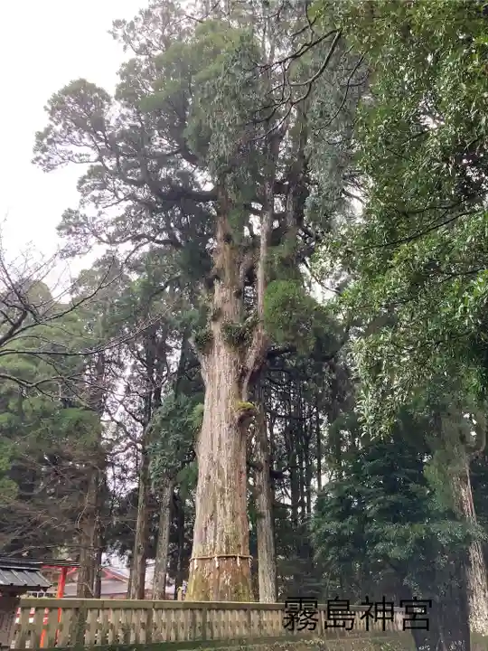 霧島神宮(鹿児島県)