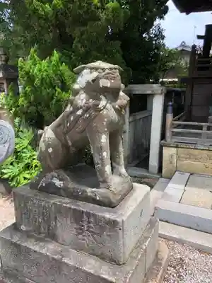 荒井神社の狛犬