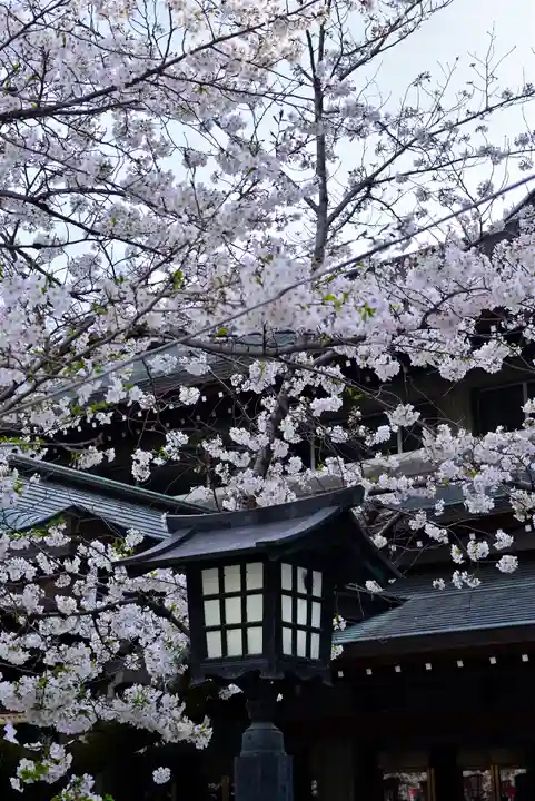 三嶋大社(静岡県)